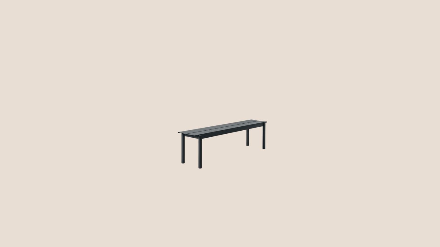 Banc Linear Steel